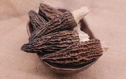 Dried Mushrooms