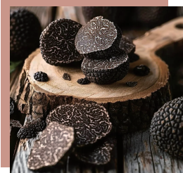 Truffle